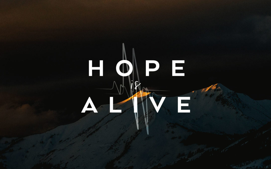 Hope Alive December 2018 Blog